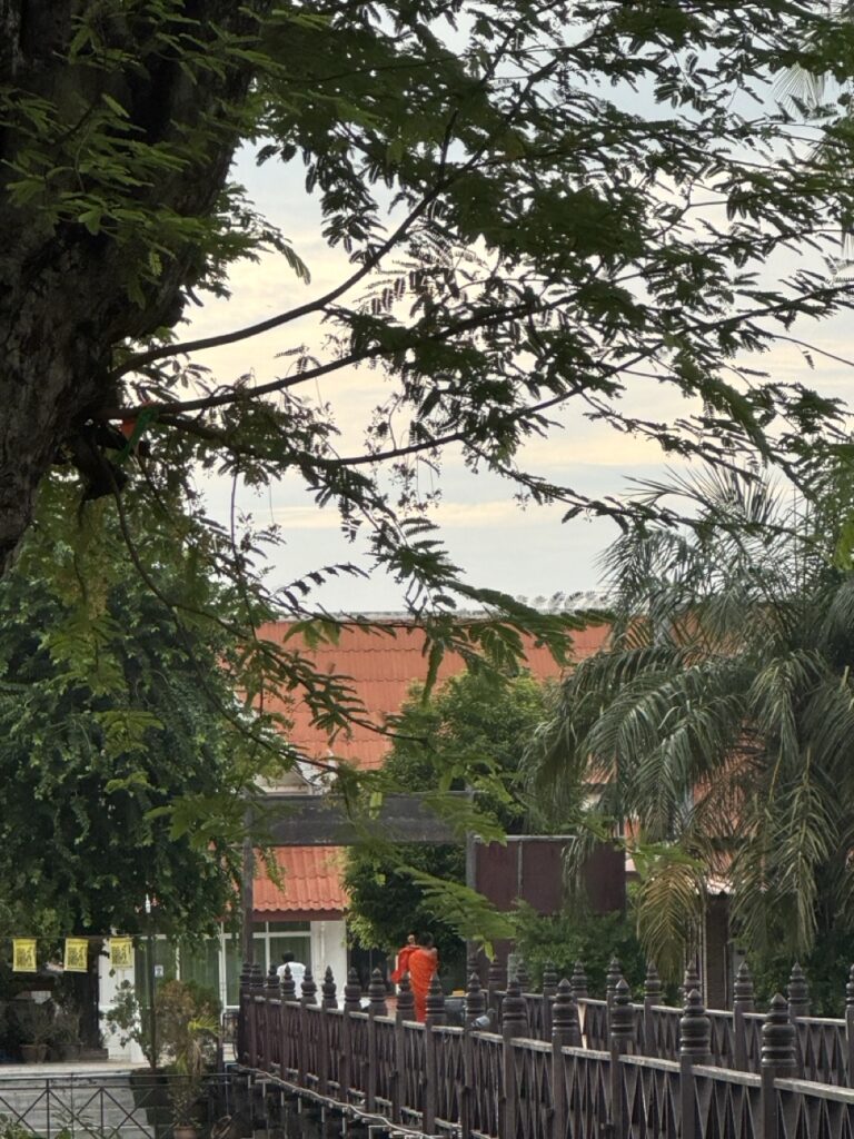 ワット・トラパン・トーン（Wat Traphang Thong）